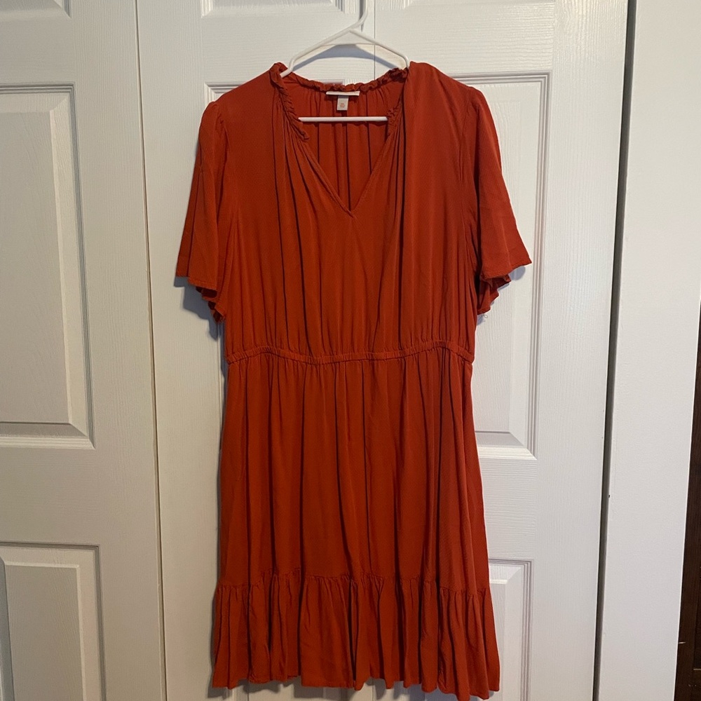 Knox Rose Terracotta Mini Dress
